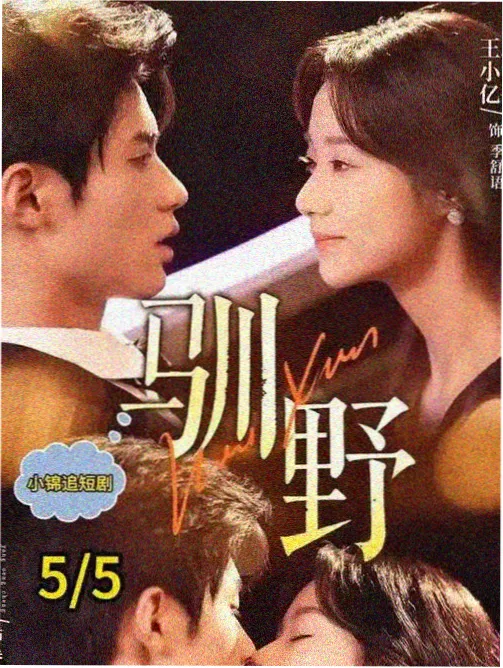 电视剧雾港谜案剧照
